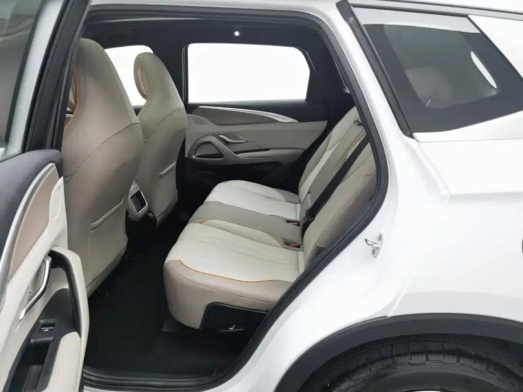Song Pro New Energy 2024 Glory Edition DM-i 110KM Superior Model — миниатюра 15