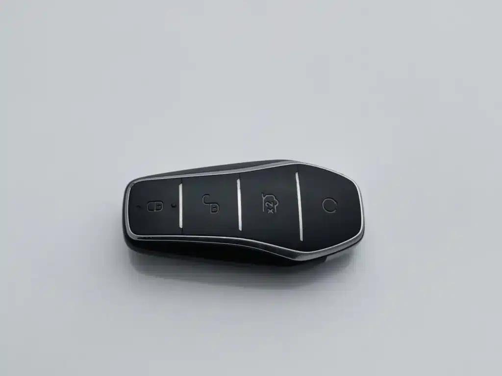 Song Pro New Energy 2024 Glory Edition DM-i 110KM Superior Model — миниатюра 19