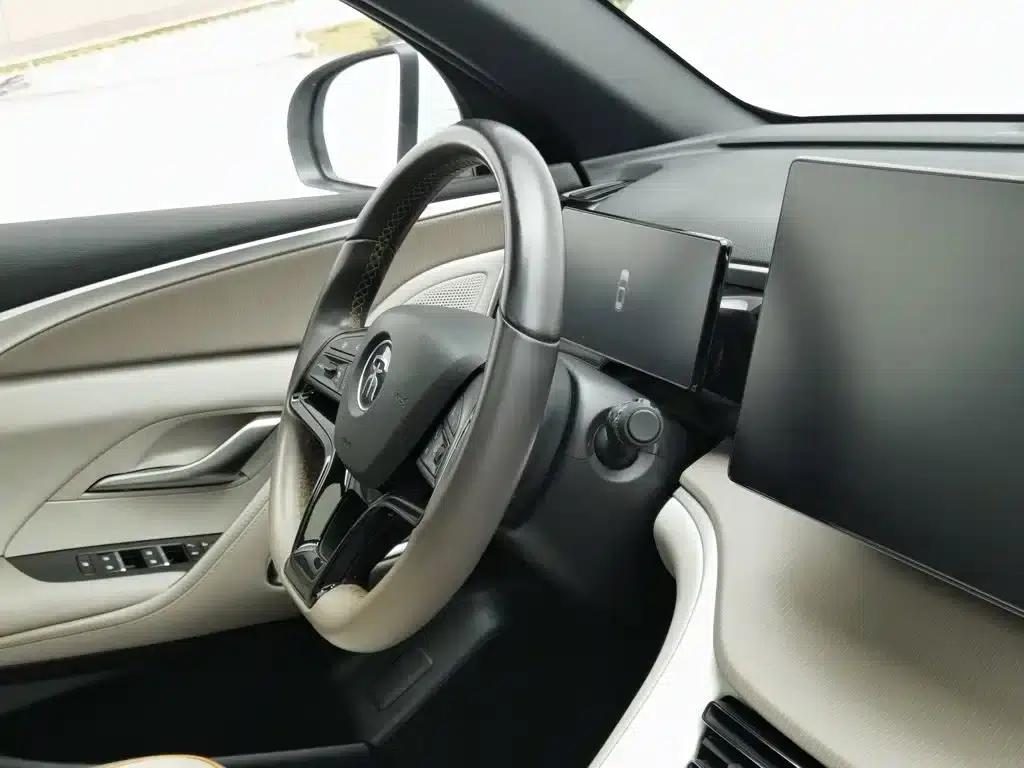Song Pro New Energy 2024 Glory Edition DM-i 110KM Superior Model — миниатюра 22
