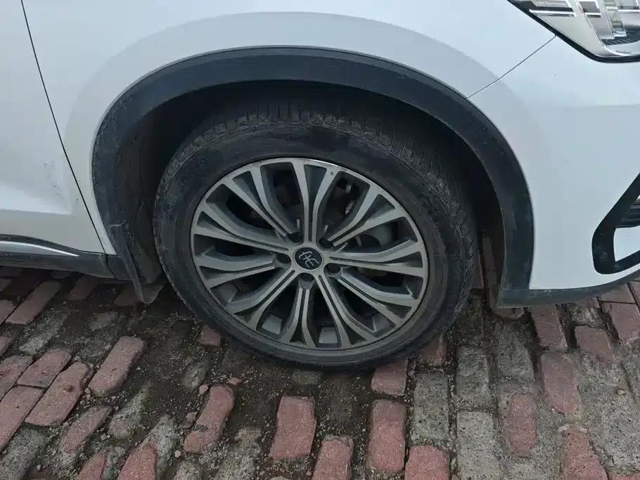 Song Pro New Energy 2022 DM-i 110km Flagship Pro — миниатюра 6