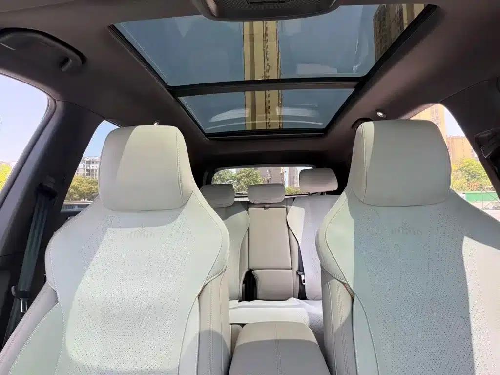 Song Pro New Energy 2024 Glory Edition DM-i 110KM Superior Model — миниатюра 9