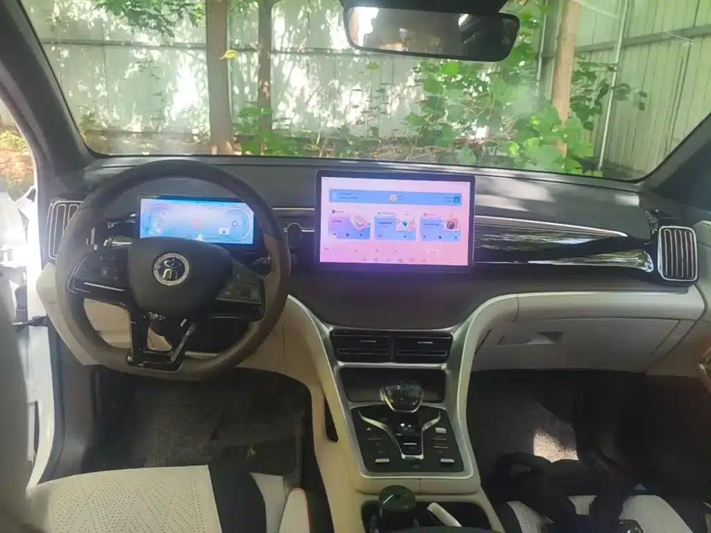 Song Pro New Energy 2023 Champion Edition DM-i 110KM Super Model — миниатюра 16