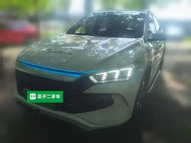 Song Pro New Energy 2023 Champion Edition DM-i 110KM Super Model