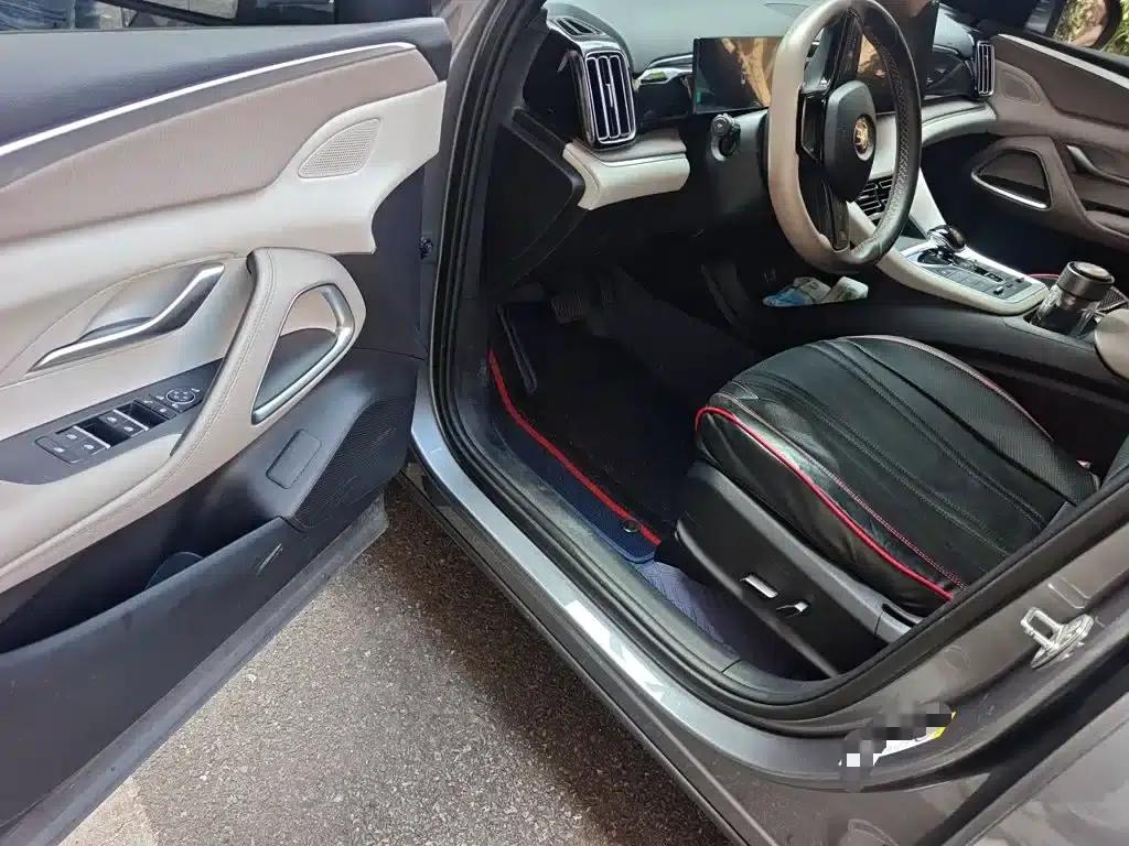 Song Pro New Energy 2023 Champion Edition DM-i 110KM Super Model — миниатюра 13