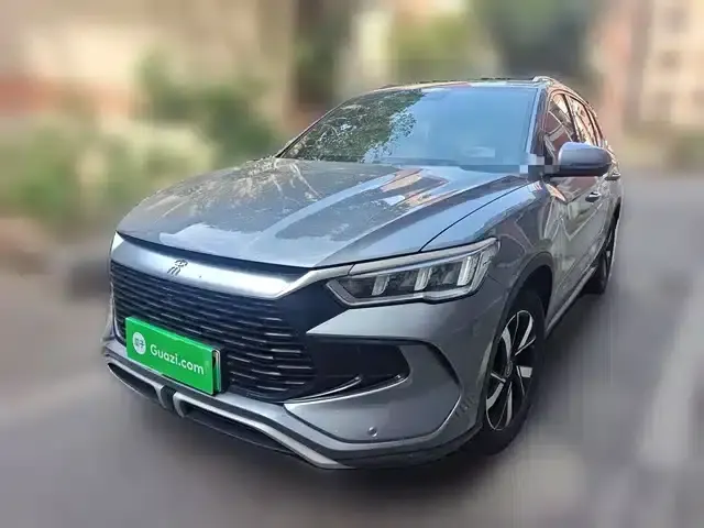 Song Pro New Energy 2023 Champion Edition DM-i 110KM Super Model