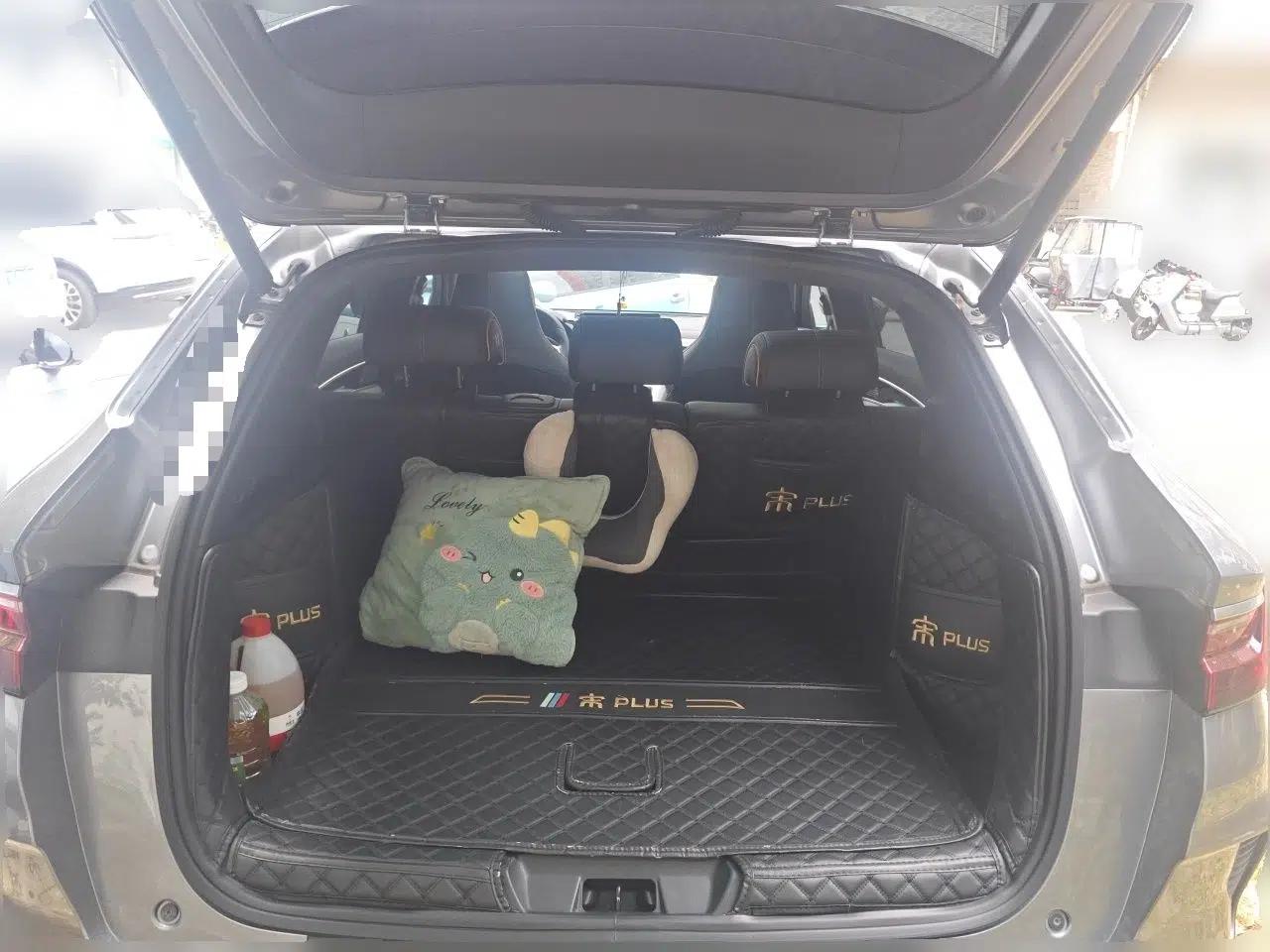 BYD Song PLUS New Energy 2021 DM-i 110KM Flagship PLUS — миниатюра 19