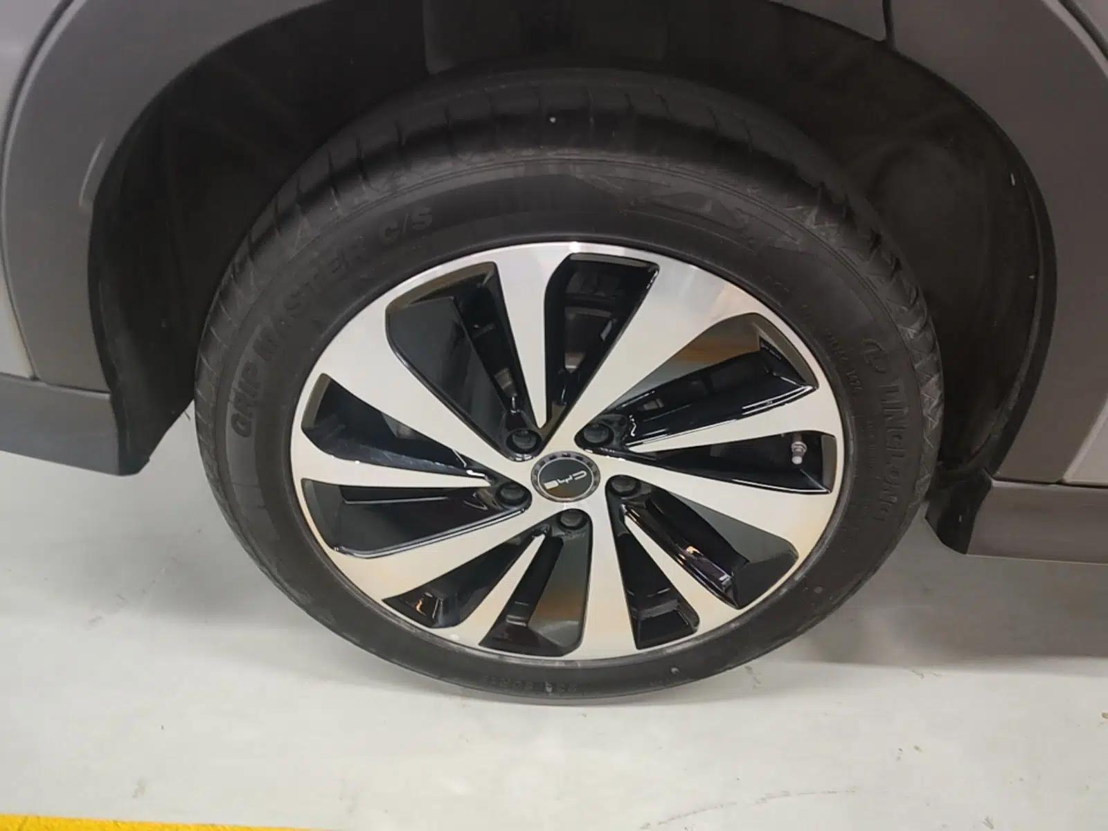BYD Song PLUS New Energy 2024 HONOR Edition DM-i 110km Flagship Model — миниатюра 11