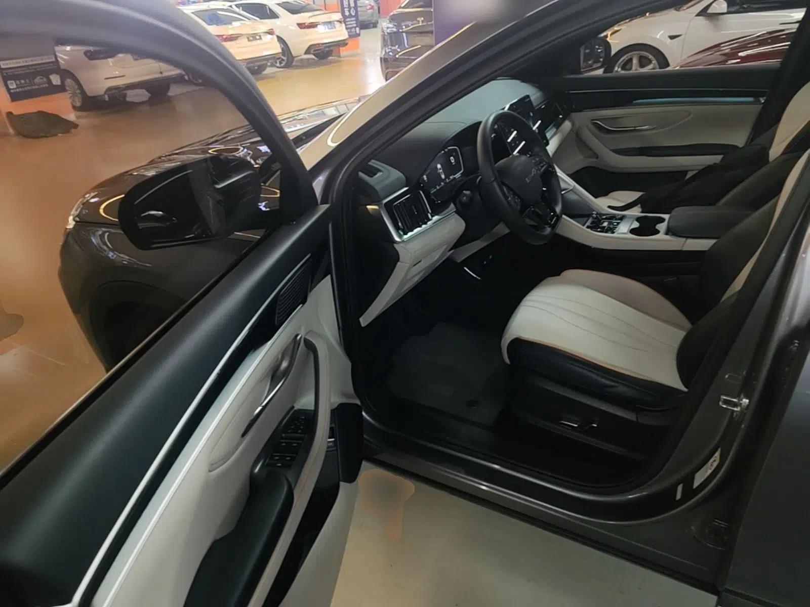 BYD Song PLUS New Energy 2024 HONOR Edition DM-i 110km Flagship Model — миниатюра 18