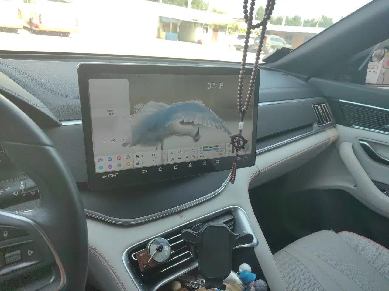 BYD Song PLUS New Energy 2021 DM-i 110KM Flagship PLUS — миниатюра 13