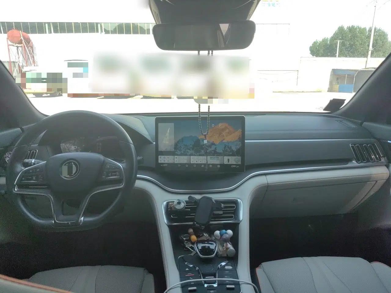 BYD Song PLUS New Energy 2021 DM-i 110KM Flagship PLUS — миниатюра 9