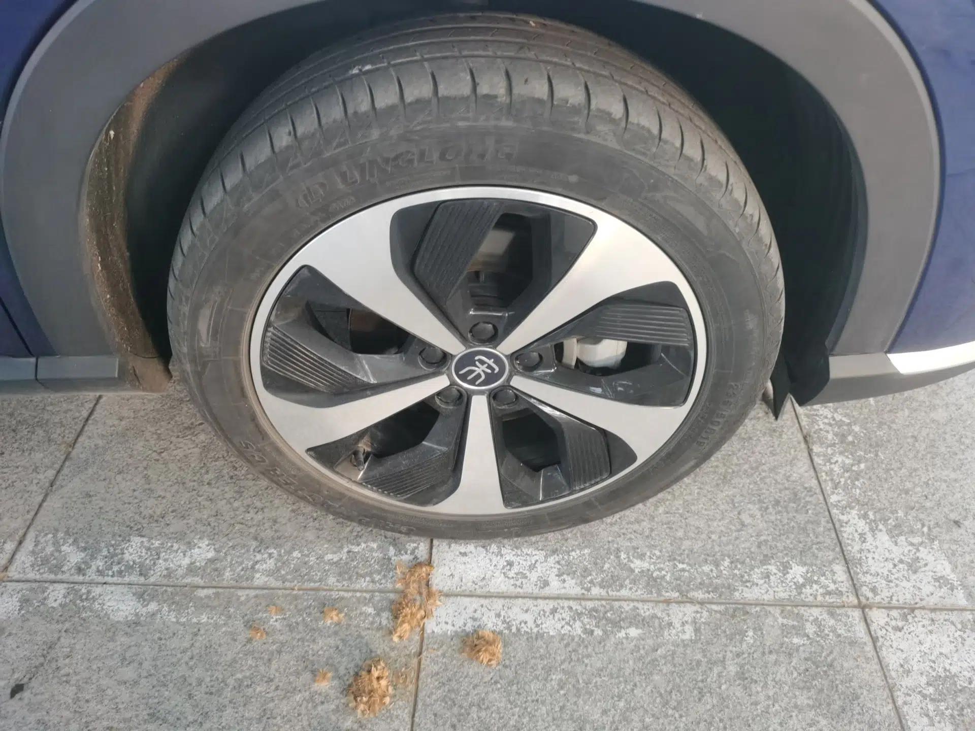 BYD Song PLUS New Energy 2021 DM-i 110KM Flagship PLUS — миниатюра 8