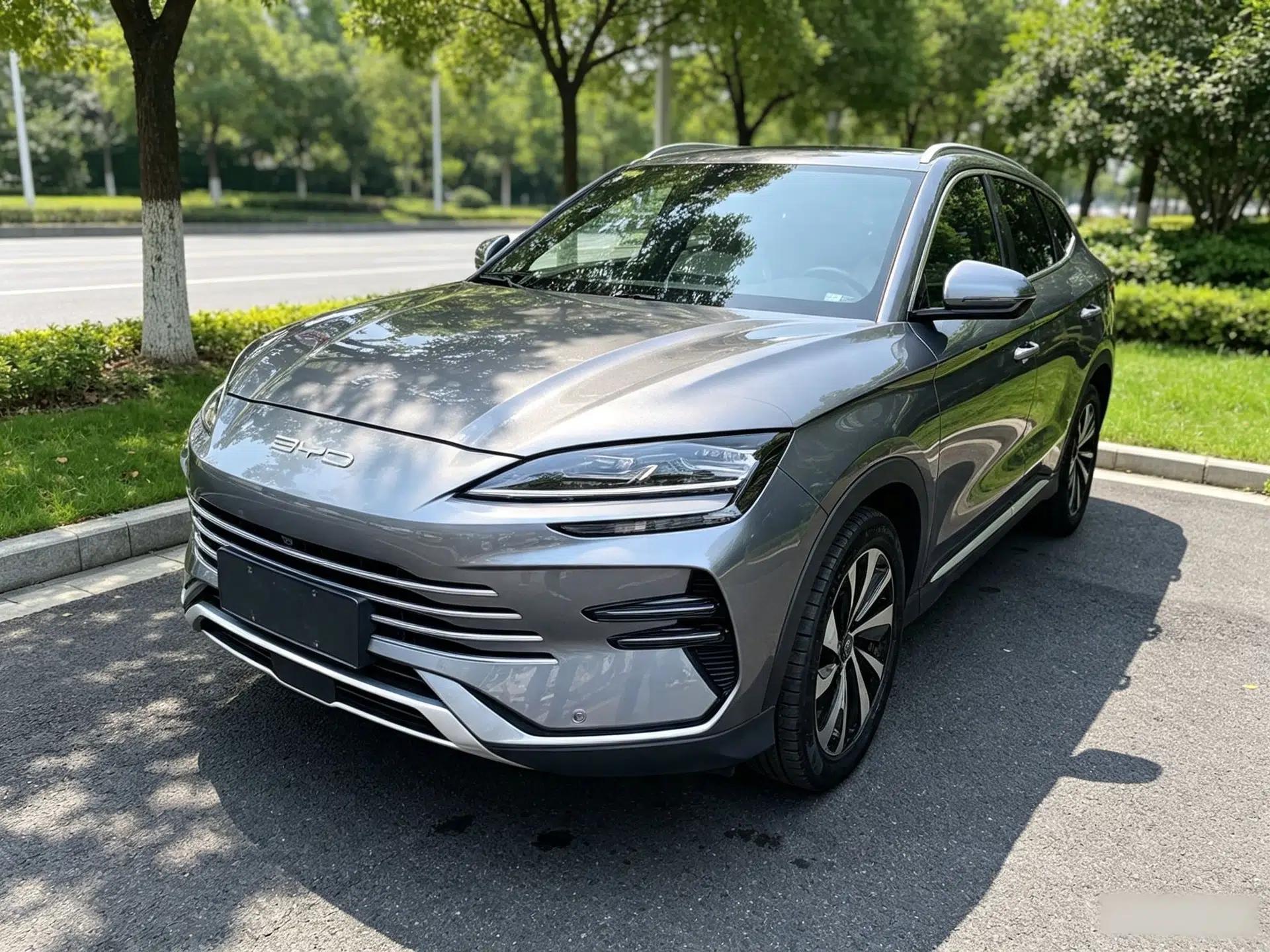 BYD Song PLUS New Energy 2023 Champion Edition DM-i 110KM Flagship Model — миниатюра 1