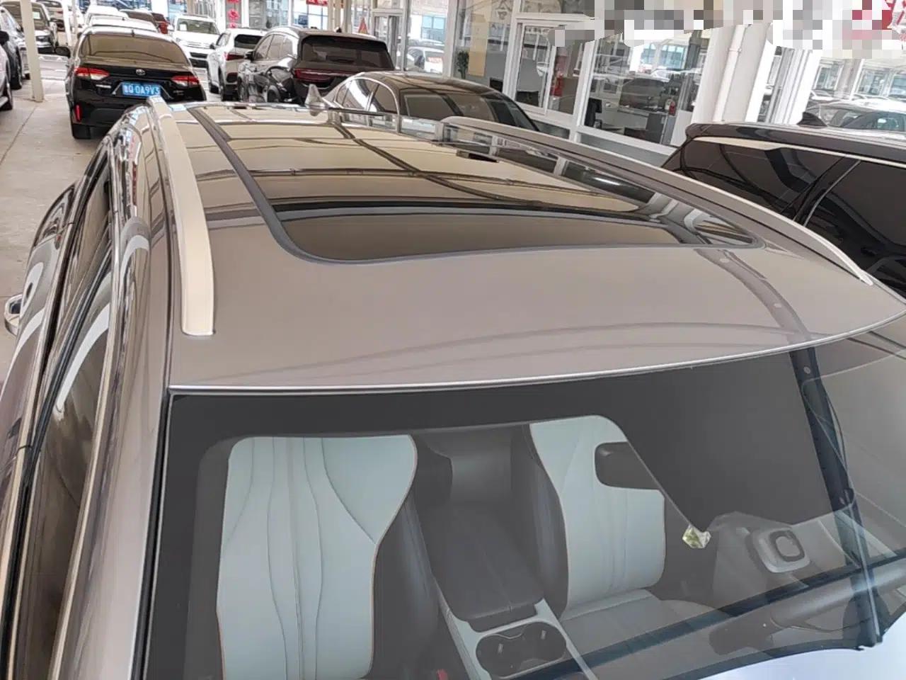 BYD Song PLUS New Energy 2023 Champion Edition DM-i 110KM Flagship Model — миниатюра 7