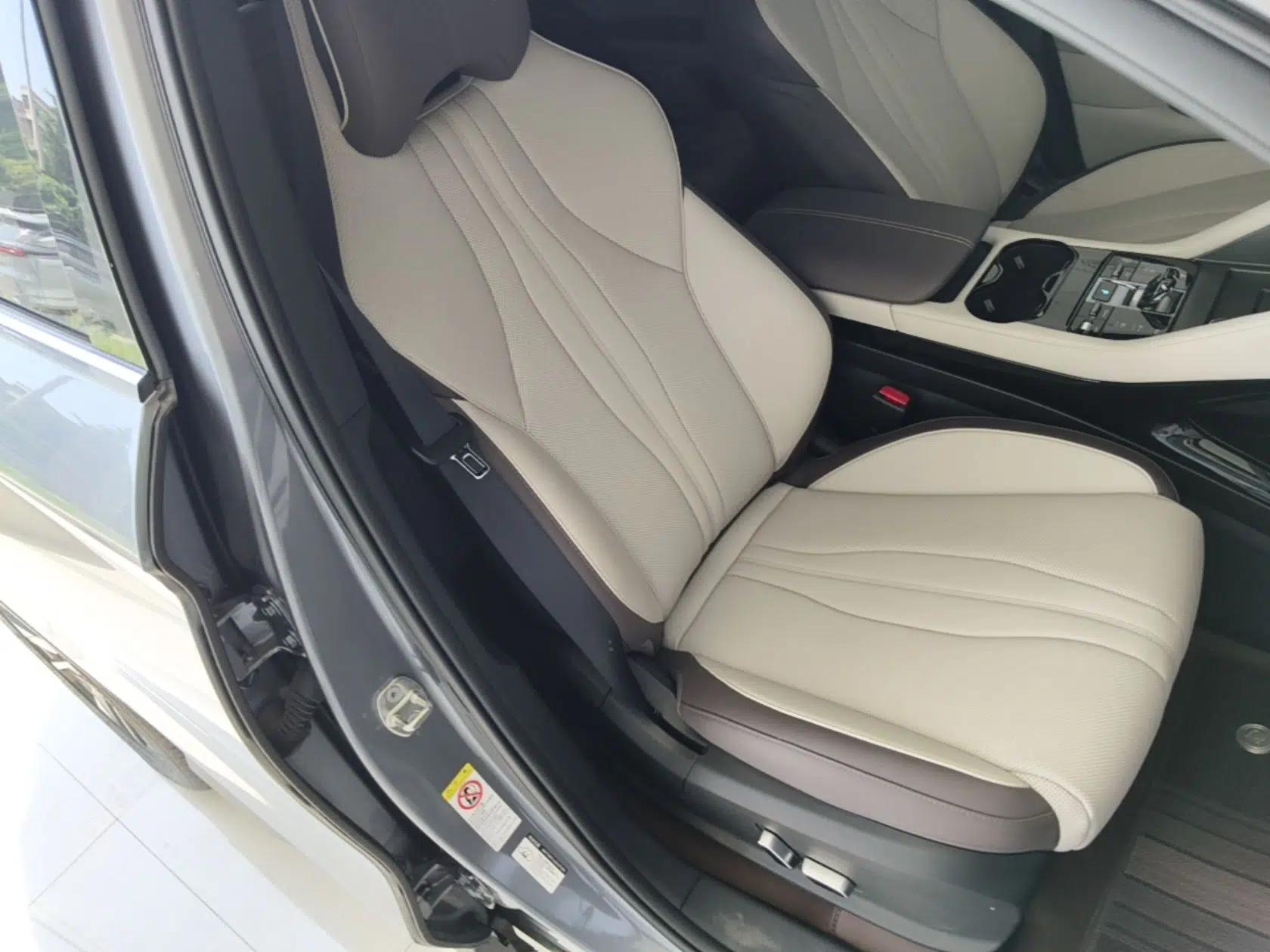 BYD Song PLUS New Energy 2025 EV Intelligent Driving Version 520km Premium Model — миниатюра 19