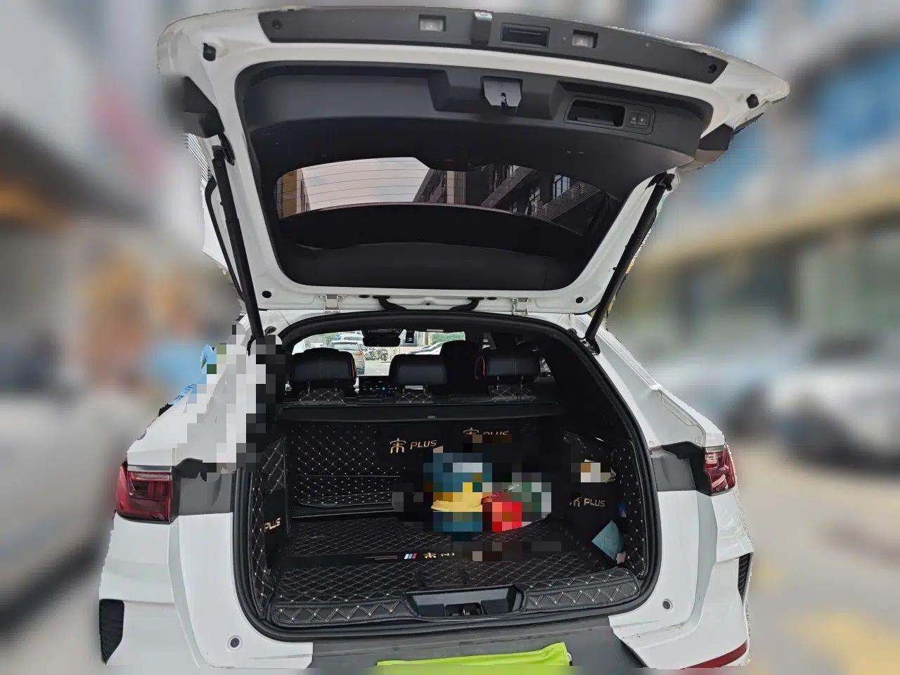 BYD Song PLUS New Energy 2021 DM-i 110KM Flagship PLUS — миниатюра 19