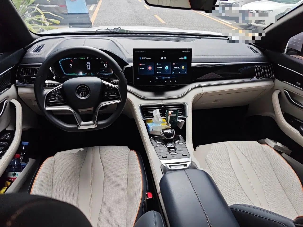 BYD Song PLUS New Energy 2021 DM-i 110KM Flagship PLUS — миниатюра 9