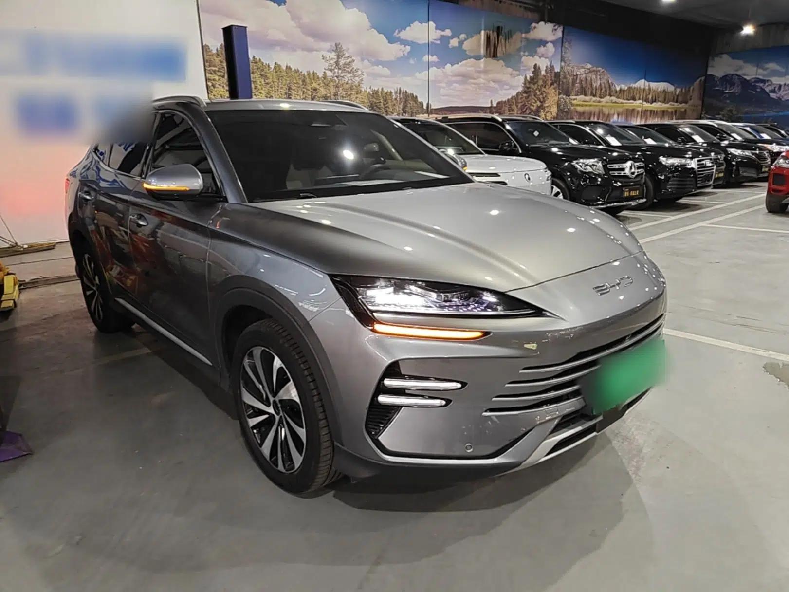 BYD Song PLUS New Energy 2024 HONOR Edition DM-i 110km Flagship PLUS — миниатюра 3