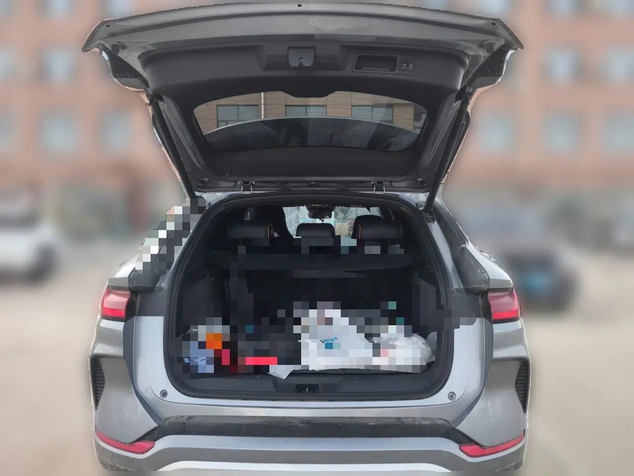 BYD Song PLUS New Energy 2024 HONOR Edition DM-i 110km Flagship Model — миниатюра 19