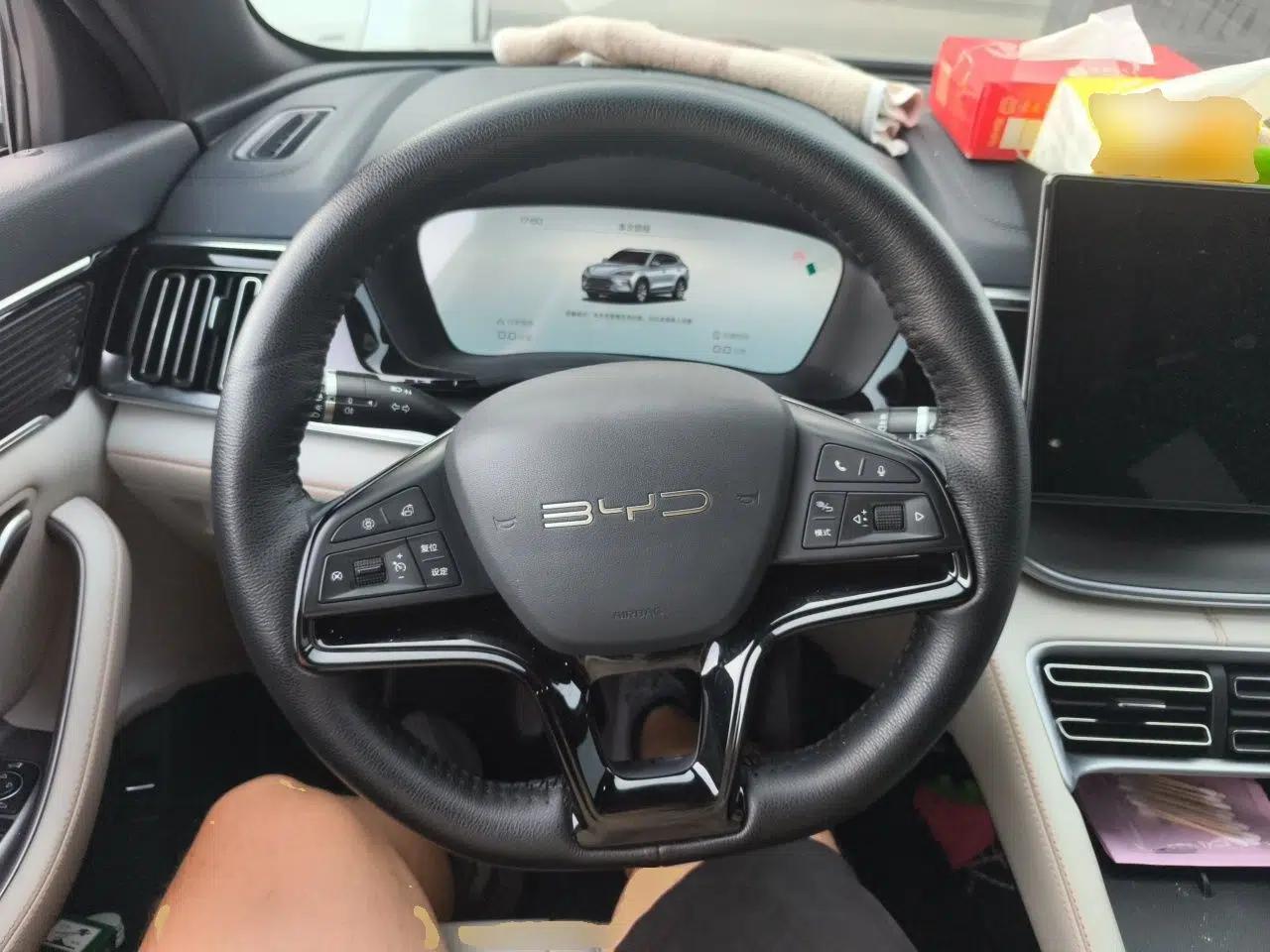 BYD Song PLUS New Energy 2024 HONOR Edition DM-i 110km Flagship Model — миниатюра 10