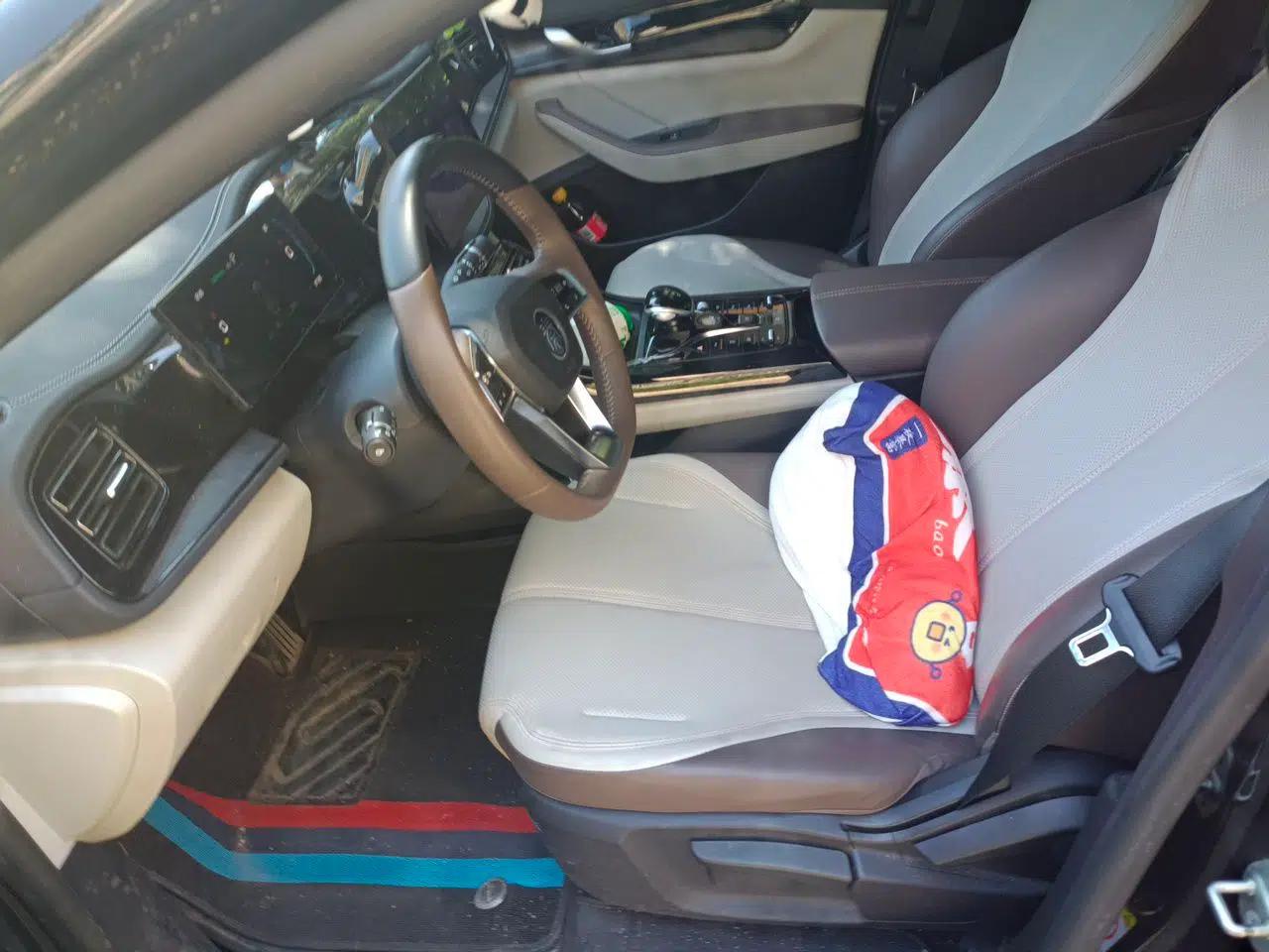 BYD Qin PLUS 2023 Champion Edition DM-i 55KM Leading Model — миниатюра 15