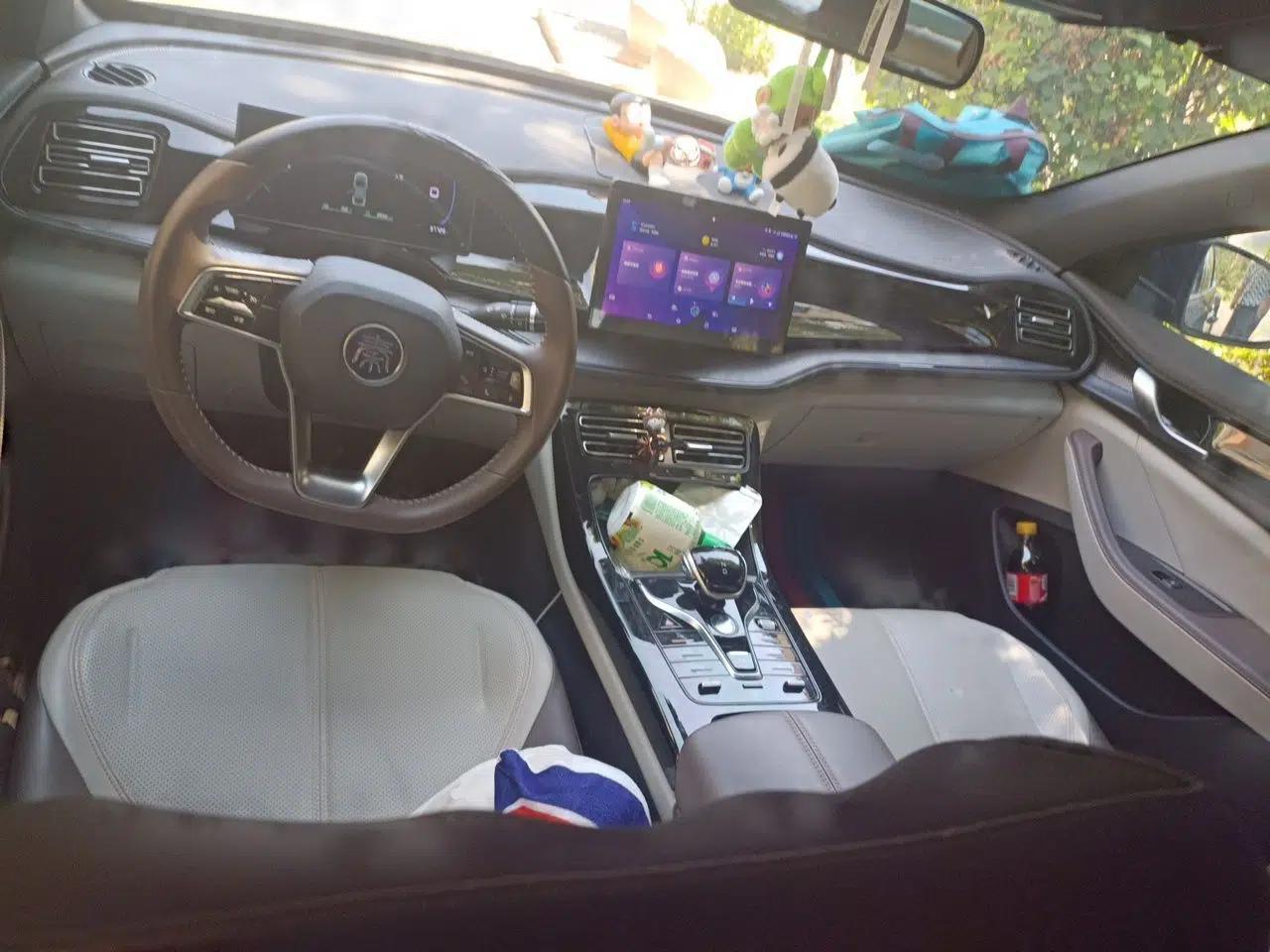 BYD Qin PLUS 2023 Champion Edition DM-i 55KM Leading Model — миниатюра 9