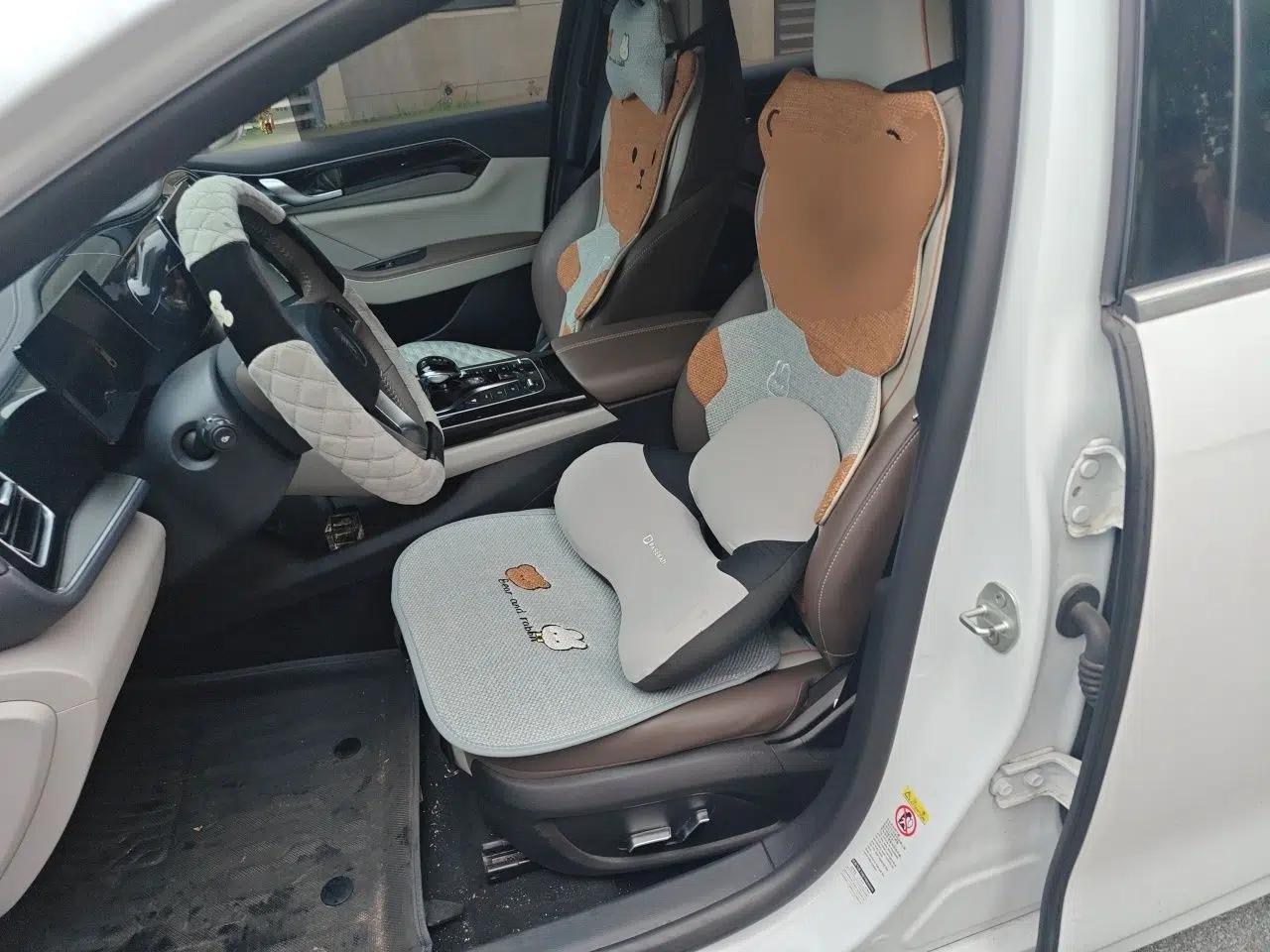 BYD Qin PLUS 2024 HONOR Edition DM-i 55KM Beyond Model — миниатюра 15