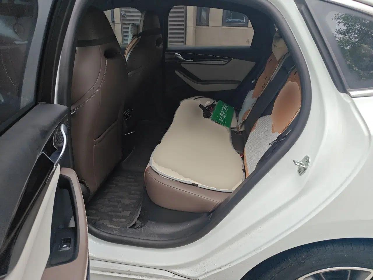 BYD Qin PLUS 2024 HONOR Edition DM-i 55KM Beyond Model — миниатюра 17