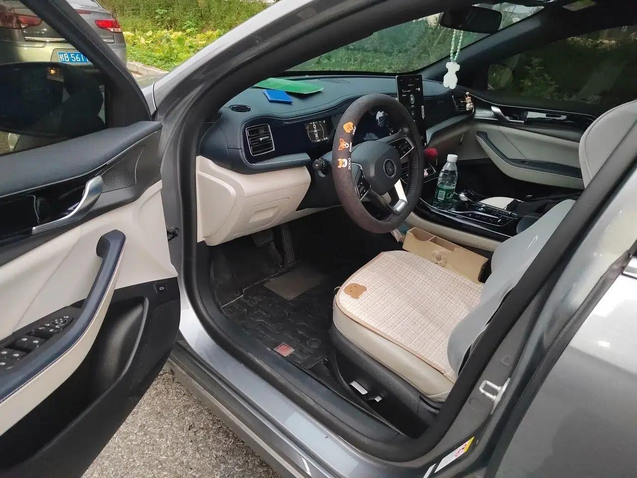BYD Qin PLUS 2021 DM-i 55KM Flagship Model — миниатюра 16