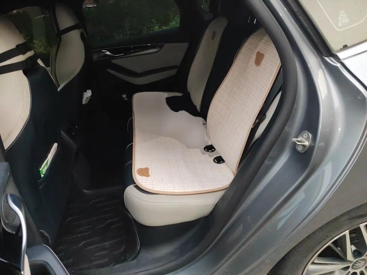 BYD Qin PLUS 2021 DM-i 55KM Flagship Model — миниатюра 17