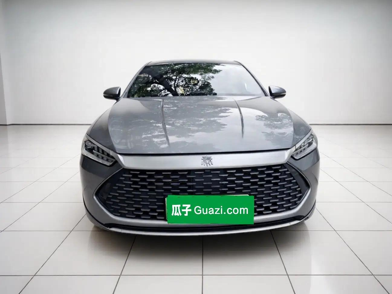 BYD Qin PLUS 2023 Champion Edition DM-i 55KM Leading Model — миниатюра 2