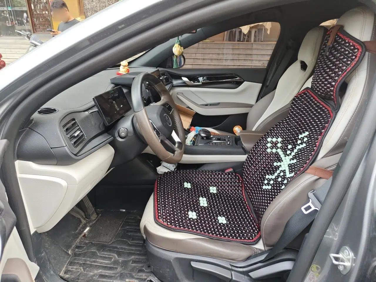 BYD Qin PLUS 2023 Champion Edition DM-i 55KM Leading Model — миниатюра 14