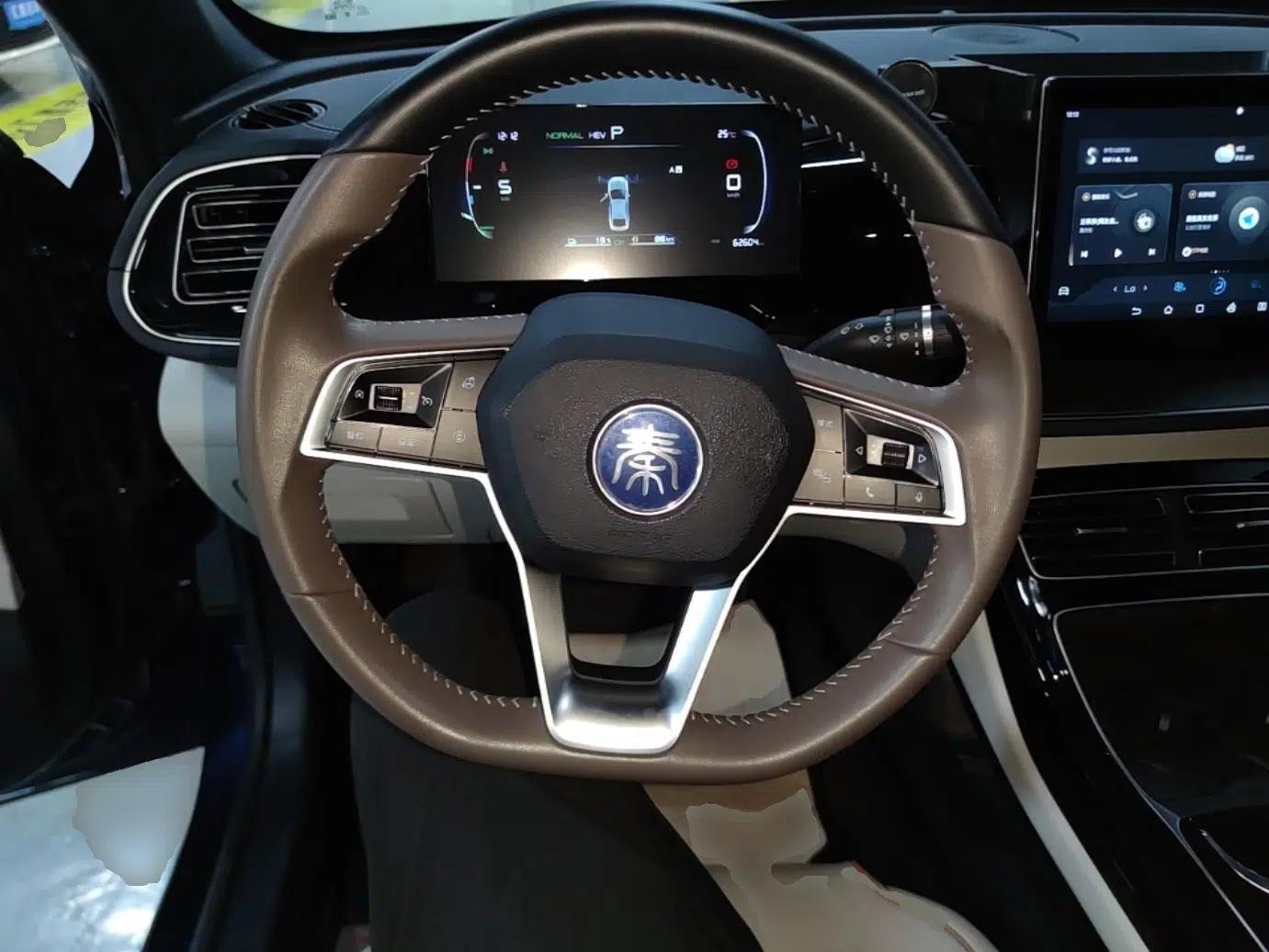 BYD Qin PLUS 2023 Champion Edition DM-i 55KM Superior Model — миниатюра 13