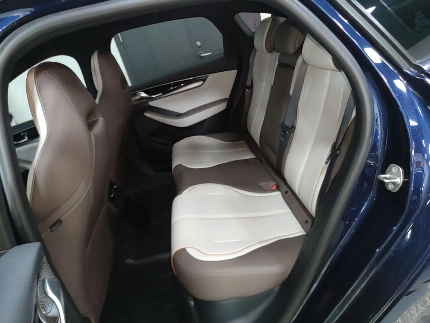 BYD Qin PLUS 2023 Champion Edition DM-i 55KM Superior Model — миниатюра 20