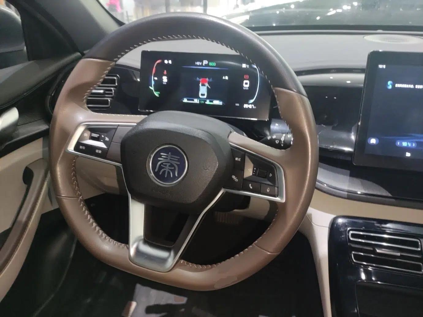 BYD Qin PLUS 2024 HONOR Edition DM-i 55KM Leading Model — миниатюра 13