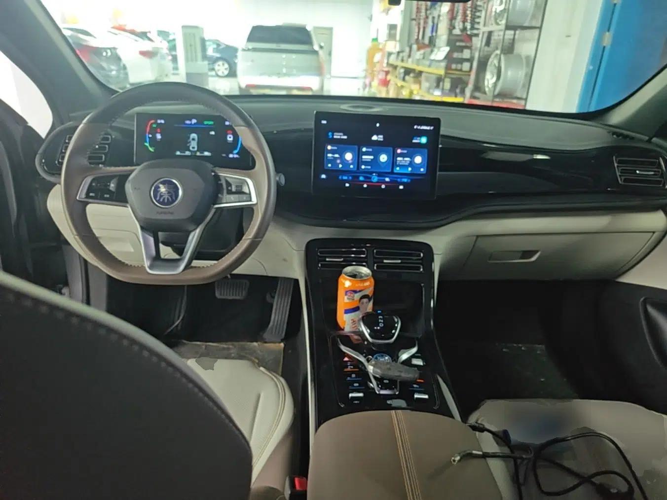 BYD Qin PLUS 2023 Champion Edition DM-i 55KM Leading Model — миниатюра 17