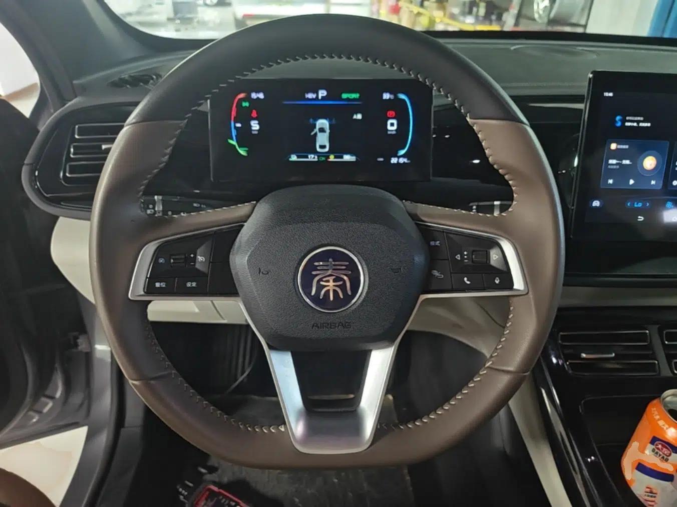 BYD Qin PLUS 2023 Champion Edition DM-i 55KM Leading Model — миниатюра 18