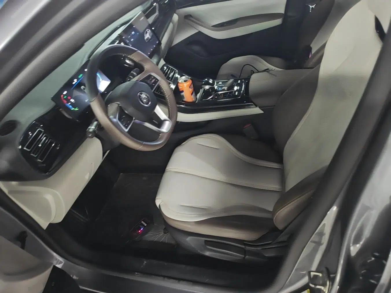 BYD Qin PLUS 2023 Champion Edition DM-i 55KM Leading Model — миниатюра 22