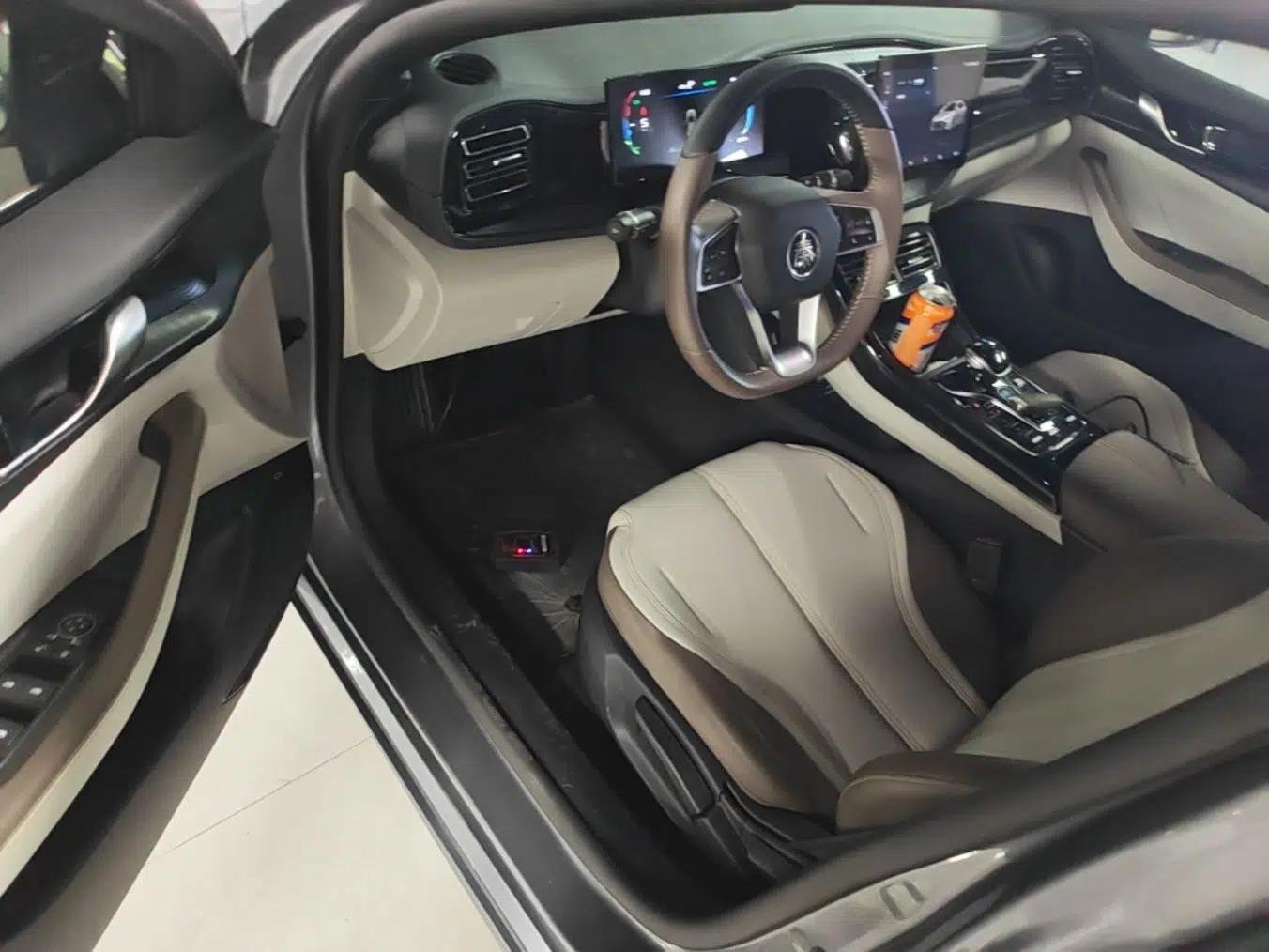 BYD Qin PLUS 2023 Champion Edition DM-i 55KM Leading Model — миниатюра 23