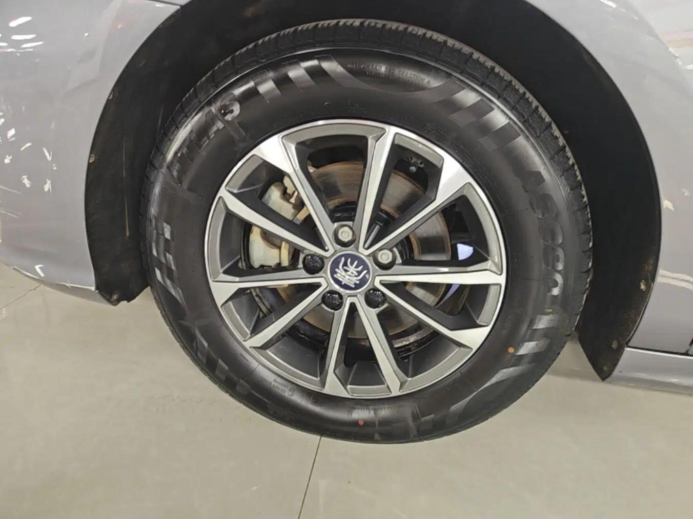 BYD Qin PLUS 2023 Champion Edition DM-i 55KM Leading Model — миниатюра 10