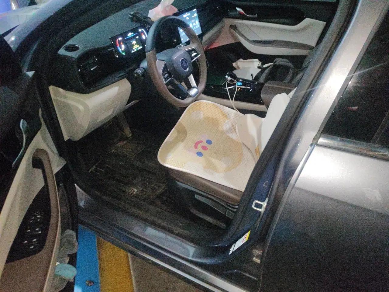 BYD Qin PLUS 2023 Champion Edition DM-i 55KM Leading Model — миниатюра 15
