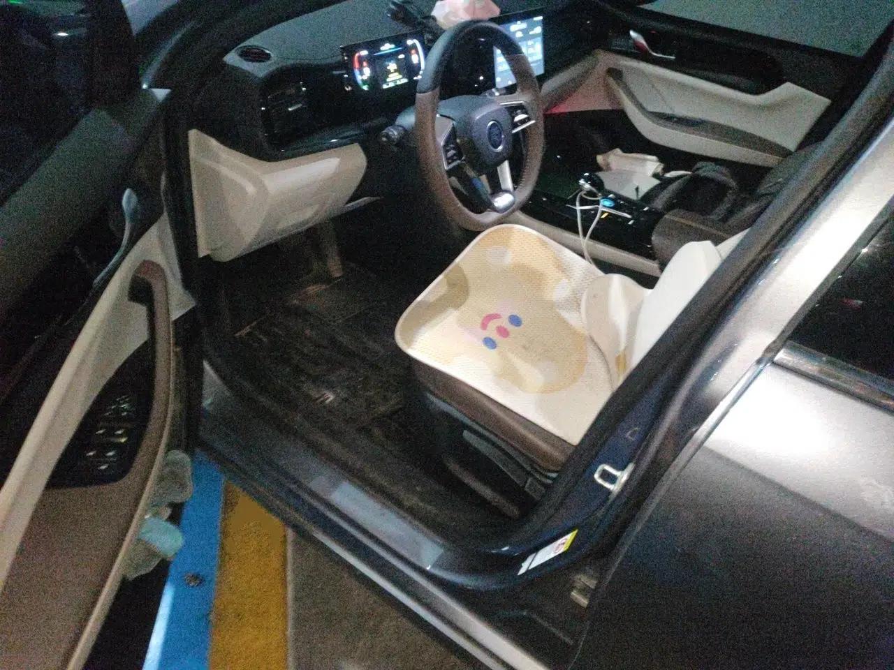 BYD Qin PLUS 2023 Champion Edition DM-i 55KM Leading Model — миниатюра 16