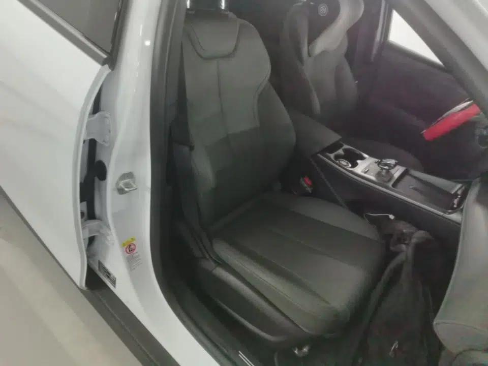 BYD Qin PLUS 2025 DM-i Smart Drive 55KM Leading Model — миниатюра 19