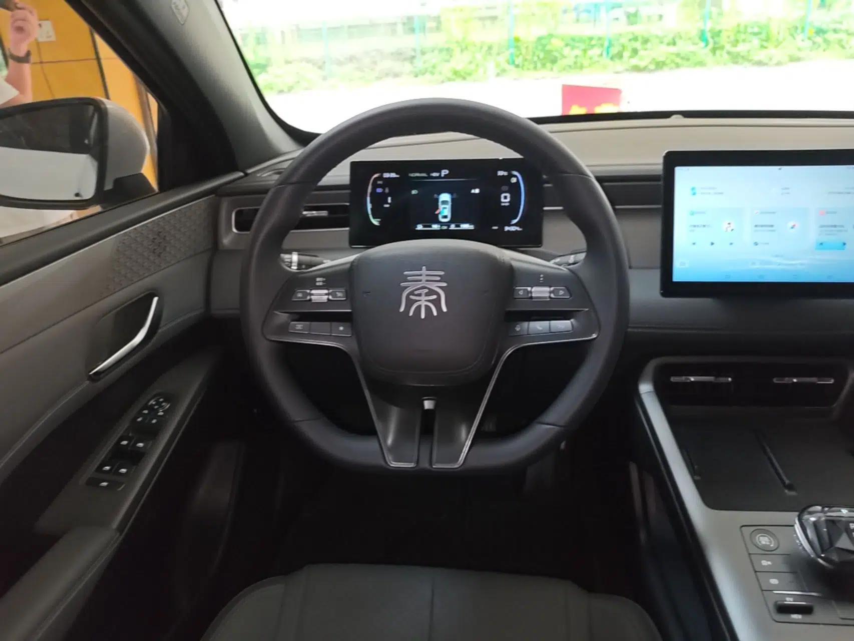 BYD Qin PLUS 2025 DM-i Smart Drive 55KM Leading Model — миниатюра 13