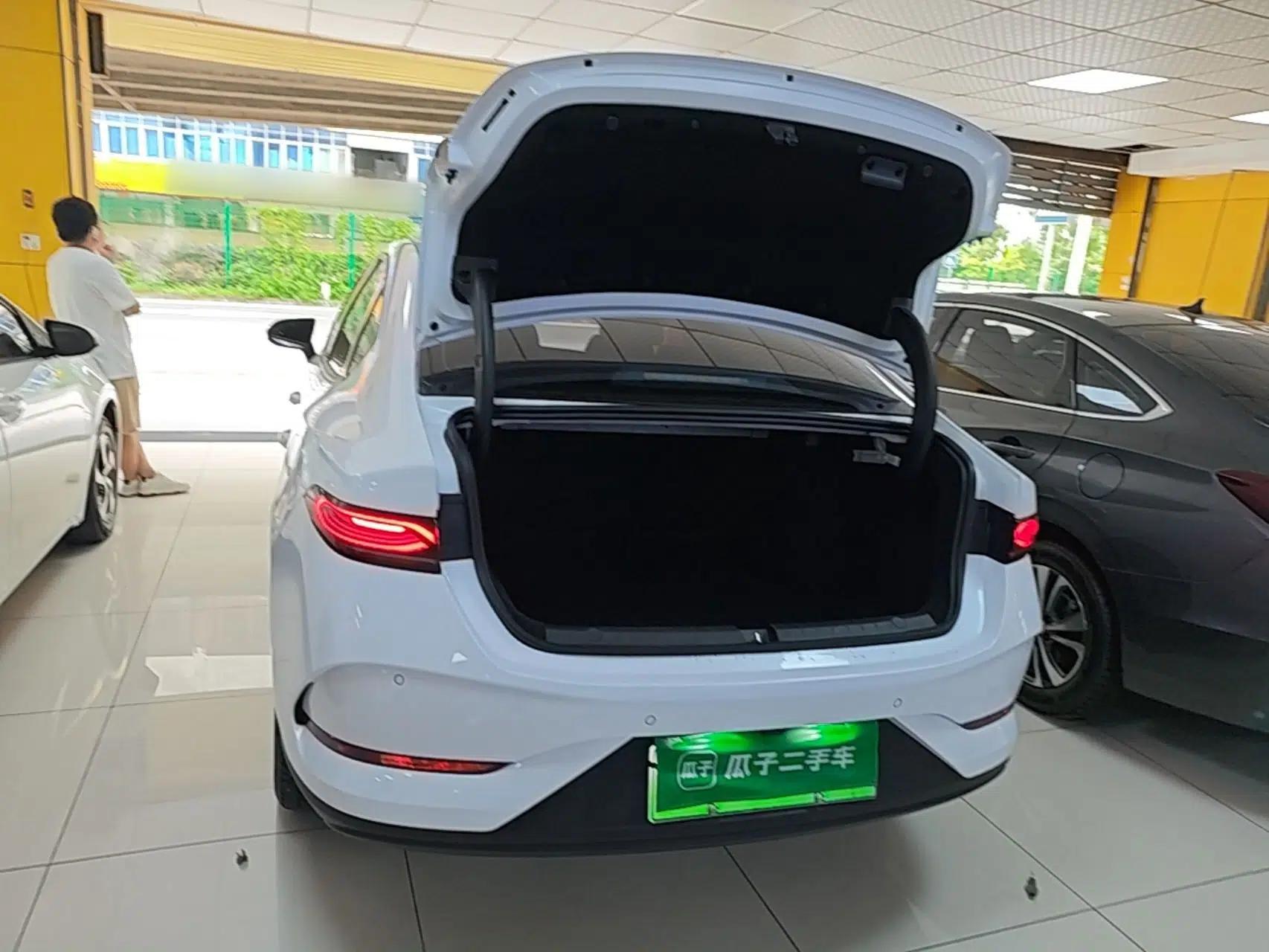 BYD Qin PLUS 2025 DM-i Smart Drive 55KM Leading Model — миниатюра 22