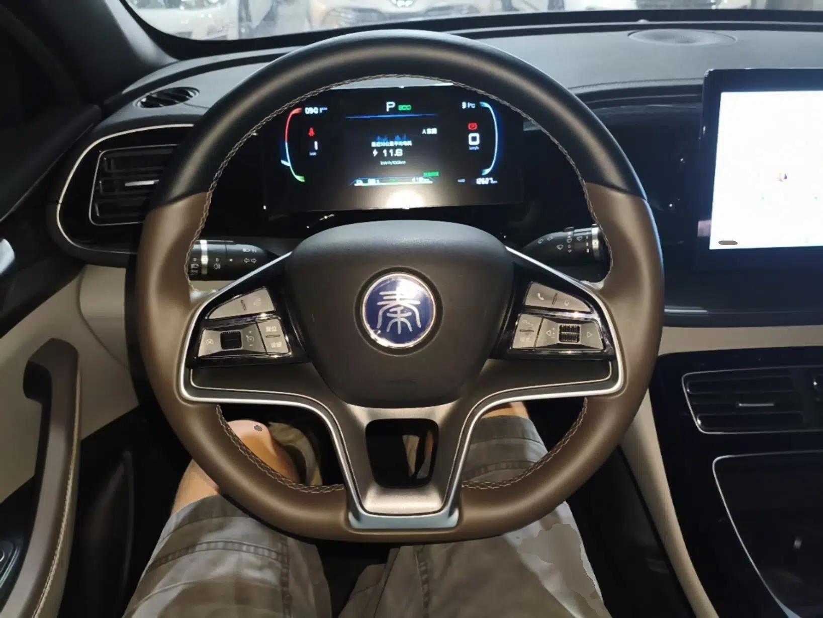 BYD Qin PLUS 2024 Honor Edition EV 420KM Leading Model — миниатюра 13