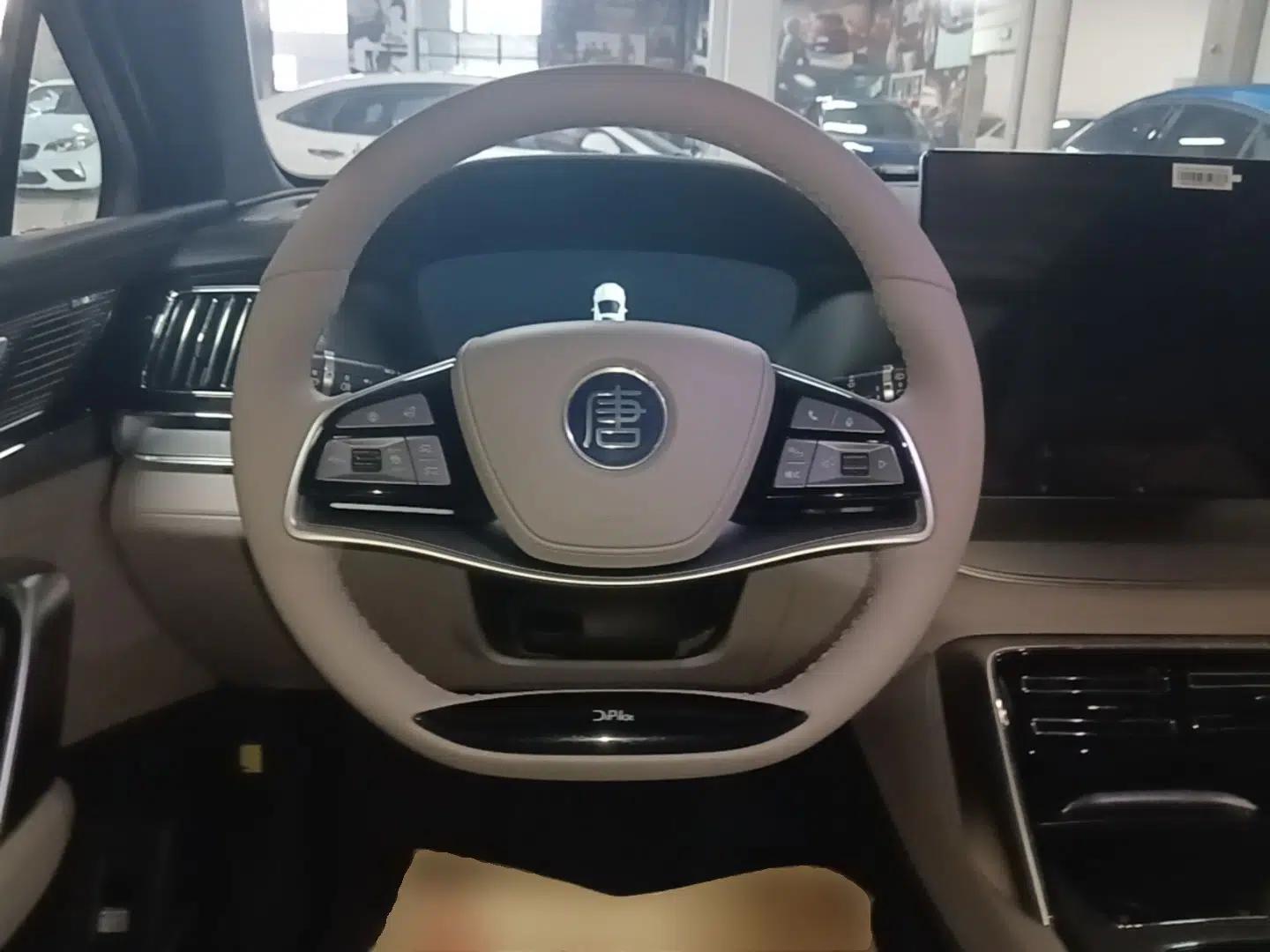 BYD Tang New Energy 2024 DM-i Glory Edition 112KM Flagship Model — миниатюра 13