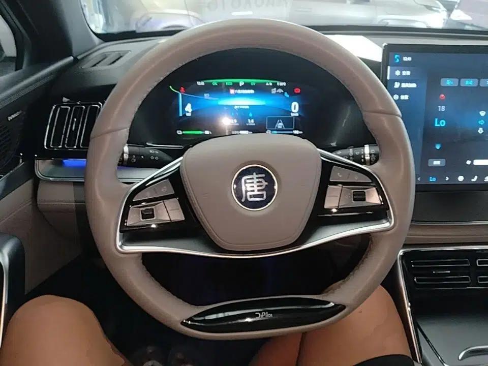 BYD Tang New Energy 2024 DM-i Glory Edition 112KM Prestige Model — миниатюра 13