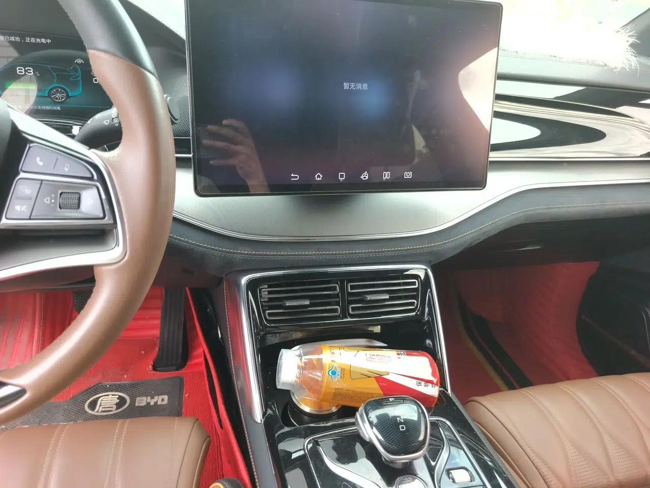 BYD Tang New Energy 2021 DM-i 112KM Prestige Model — миниатюра 13