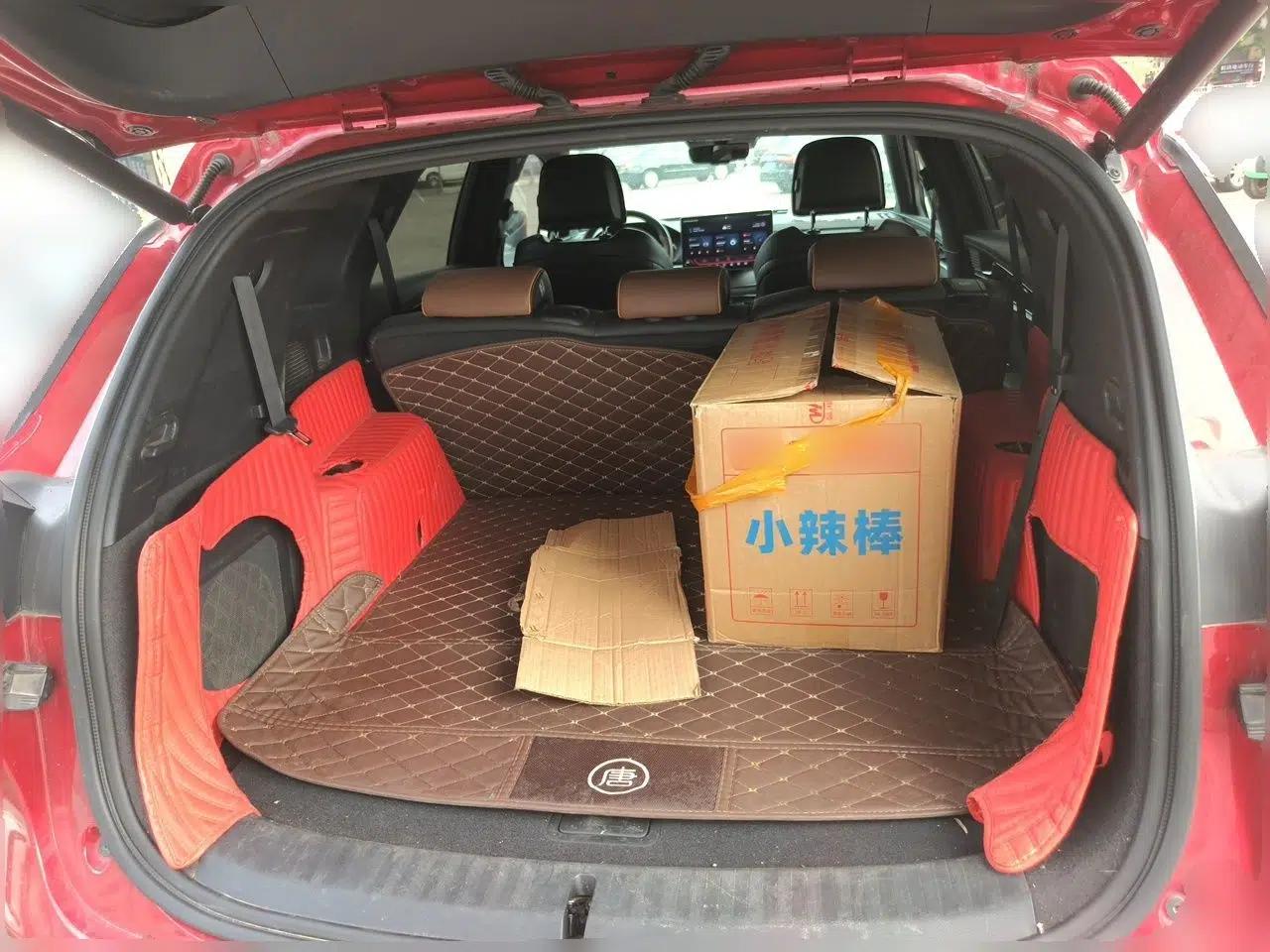BYD Tang New Energy 2021 DM-i 112KM Prestige Model — миниатюра 19