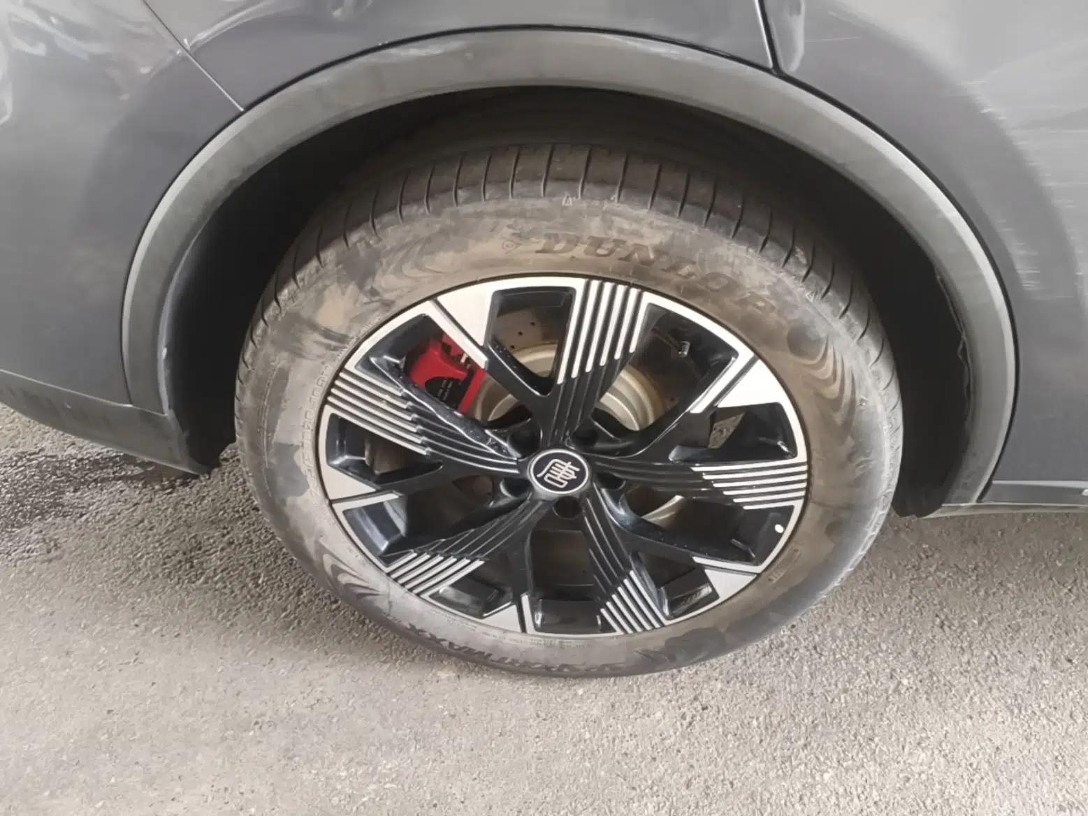 BYD Tang New Energy 2024 DM-p Champion Edition 215 km All-Wheel-Drive Flagship Model — миниатюра 11